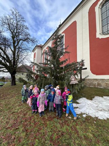 Pozorování vánočního stromu v Sedleci...